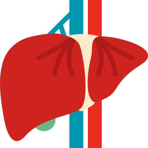 liver